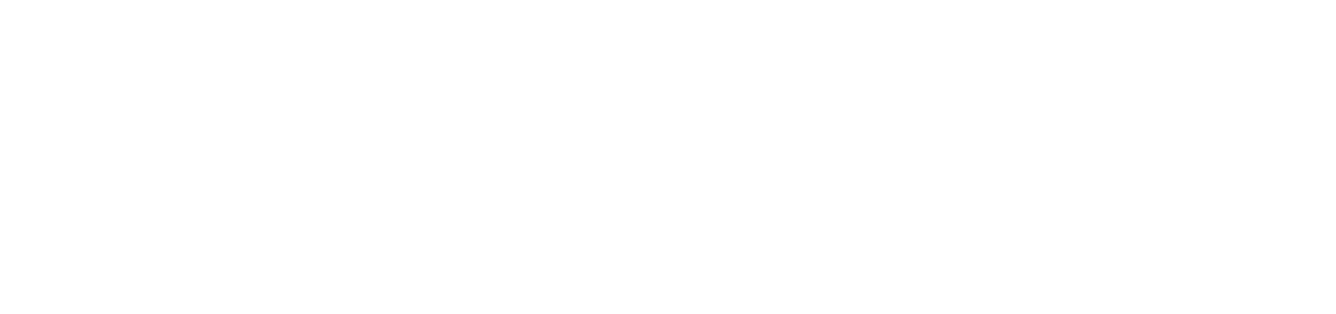 BeVisioneers